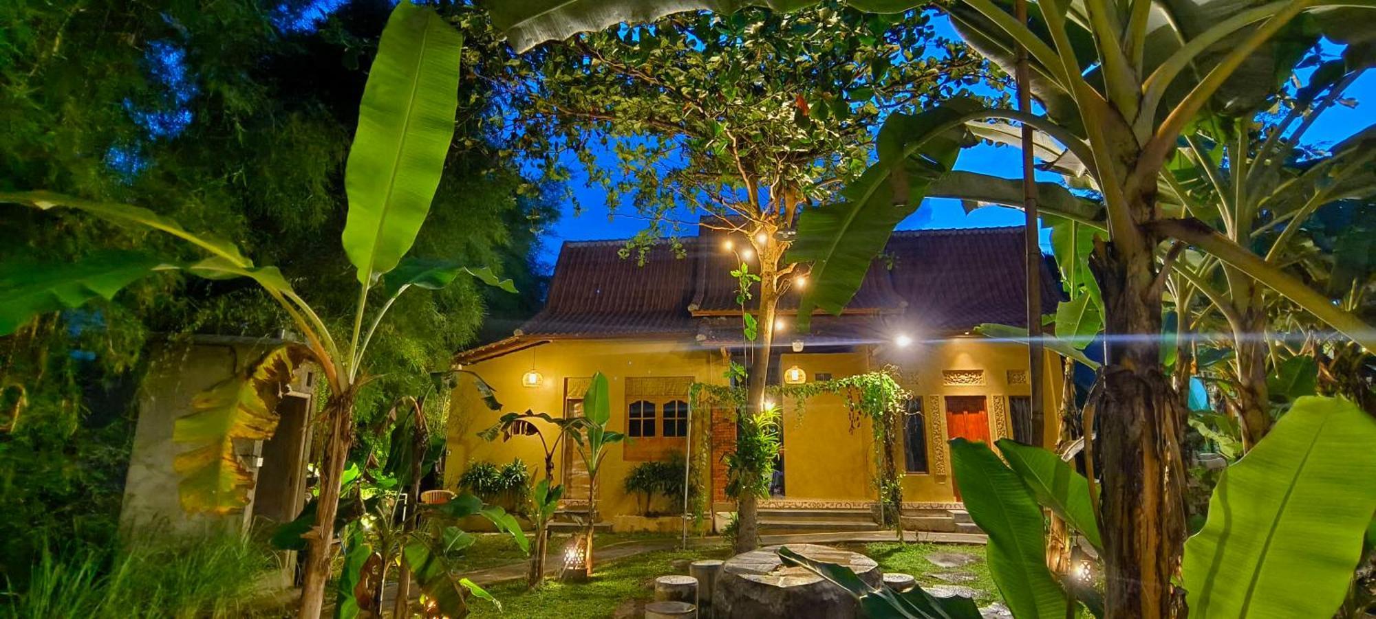 Damuh Guest House Ubud Zewnętrze zdjęcie